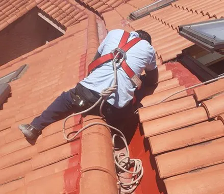 reparargoterasenhospitaletdellobregat barcelona 1920w